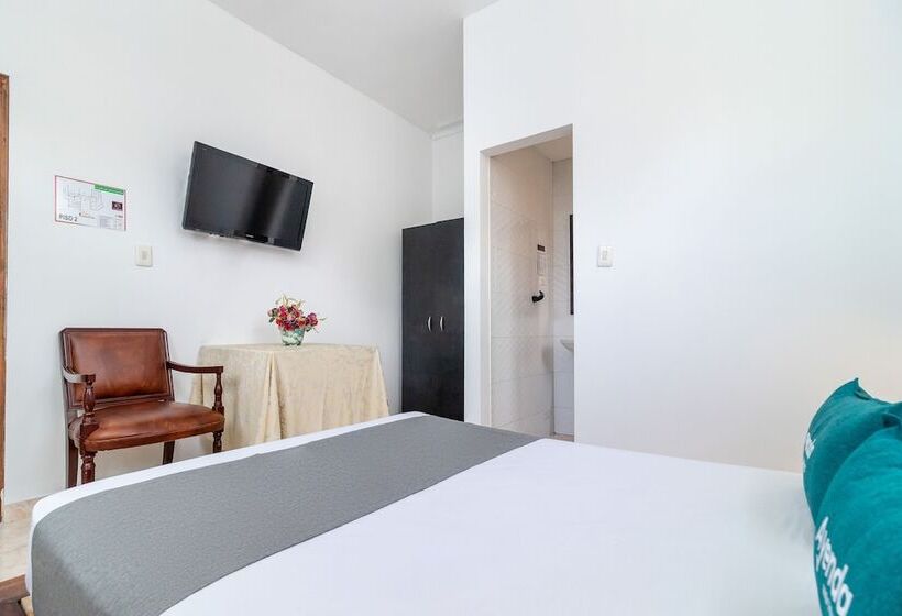 Fotos del hotel Ayenda Eloina:  6