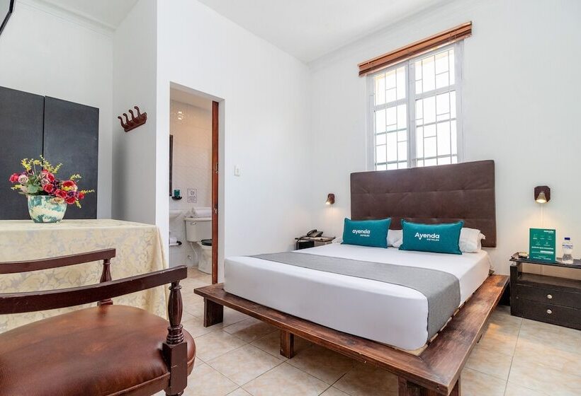 Fotos del hotel Ayenda Eloina:  4