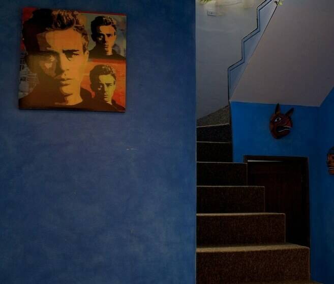 Fotos del hotel La Casa Amarilla:  9