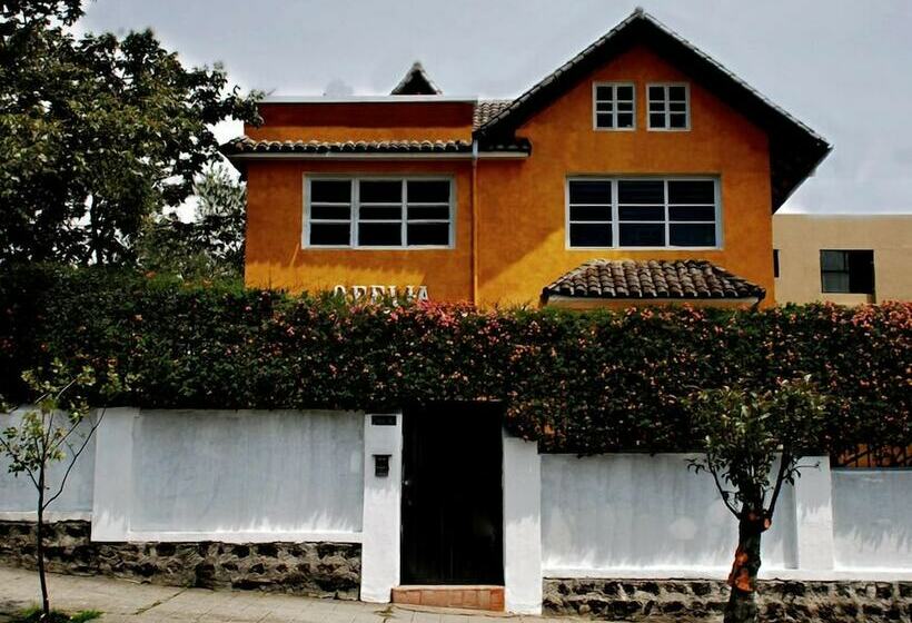 Fotos del hotel La Casa Amarilla:  16