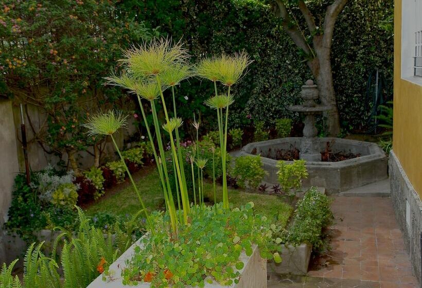 Fotos del hotel La Casa Amarilla:  4