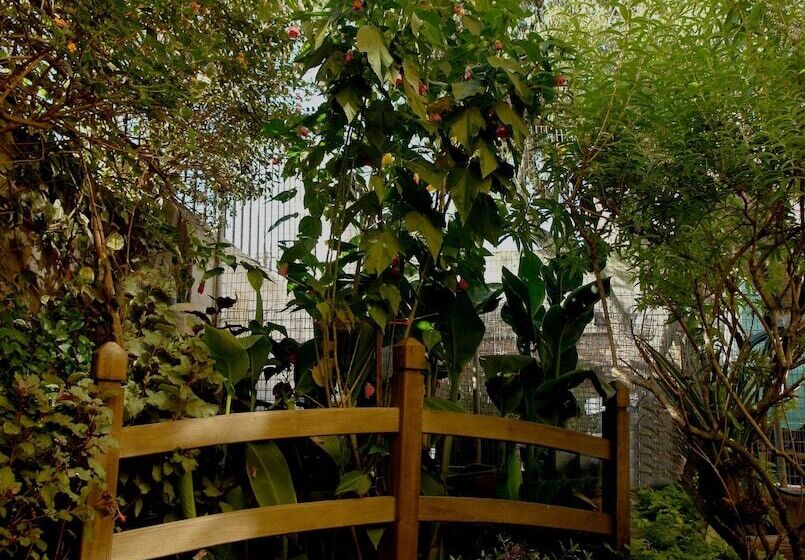 Fotos del hotel La Casa Amarilla:  19