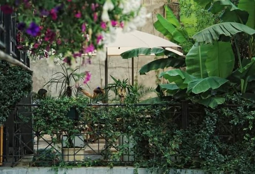 Fotos del hotel Monte Carlo:  10