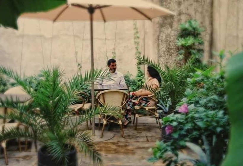 Fotos del hotel Monte Carlo:  14