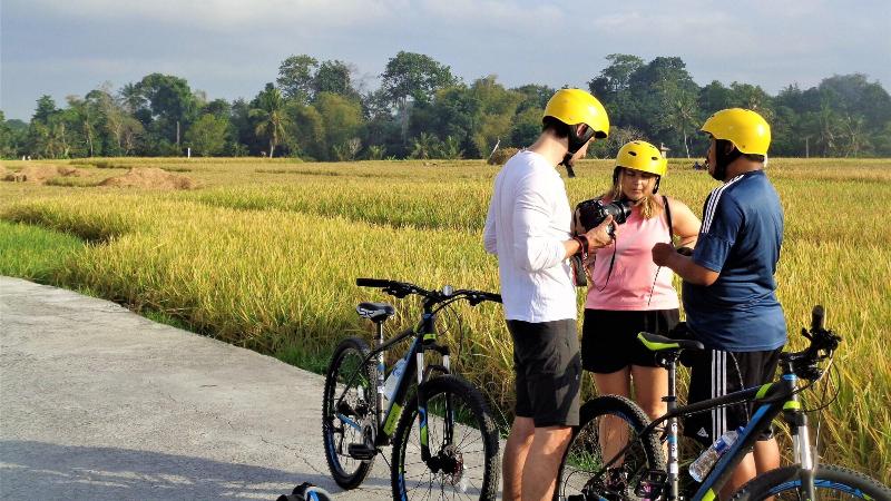 Fotos del hotel The Calmtree Bungalows:  13