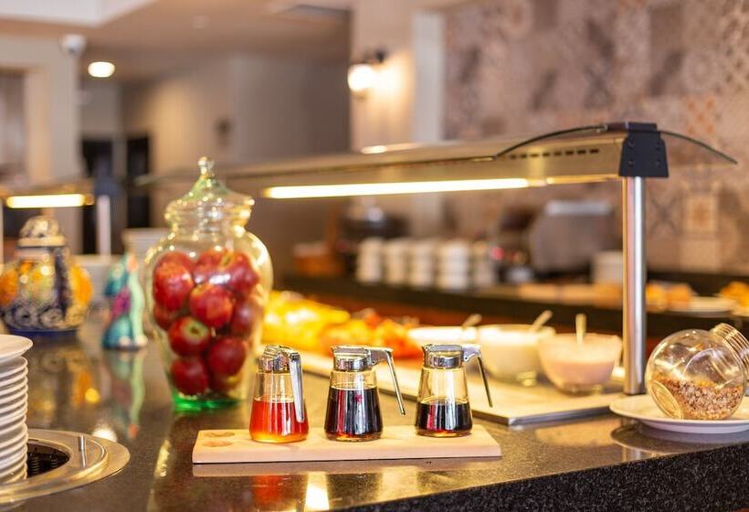 Fotos del hotel Gamma Mazatlan The Inn At Centro Historico:  14