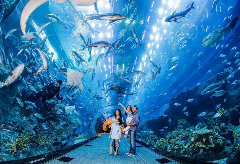 Fotos del hotel Rove Downtown:  14