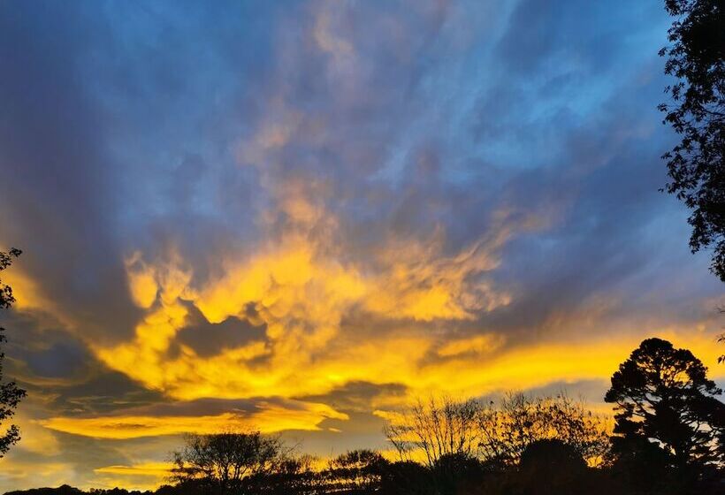 Fotos del hotel Highland House Boutique:  17