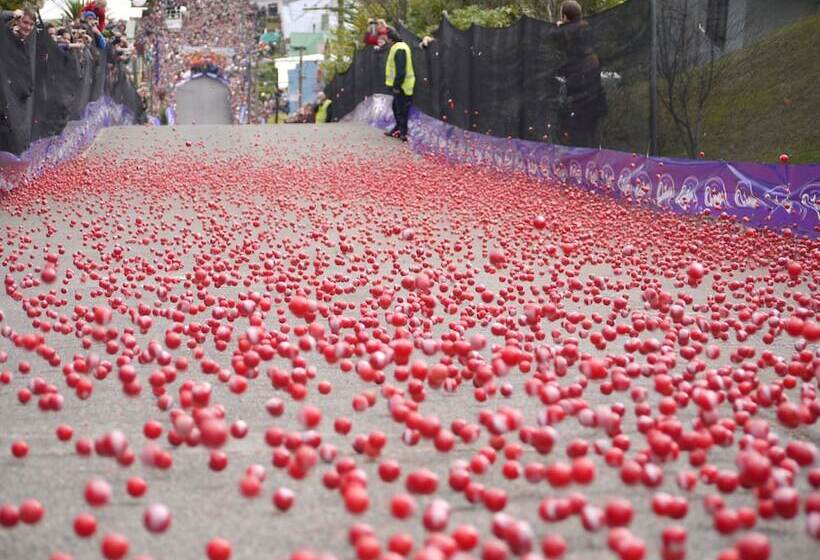 Fotos del hotel Highland House Boutique:  5