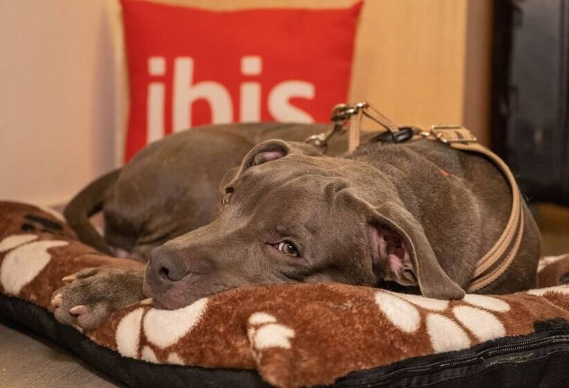 Fotos del hotel Ibis Cartagena Marbella:  7