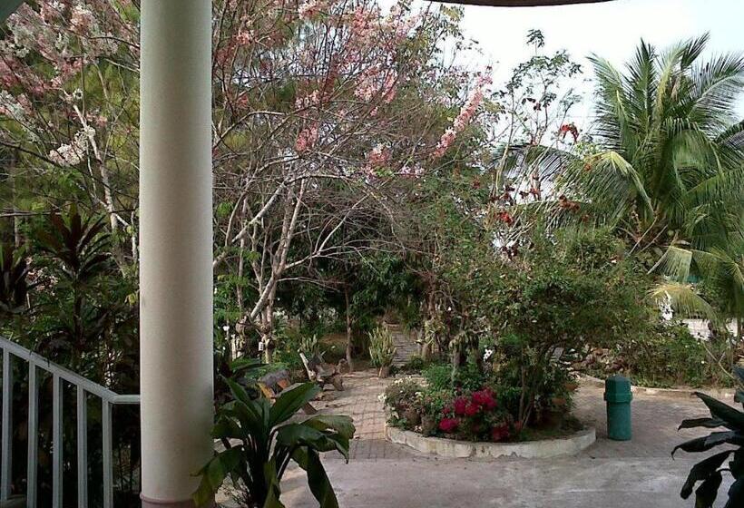 Fotos del hotel Kasem Garden Hotel Surin:  10