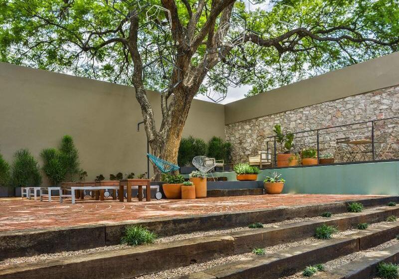 Fotos del hotel Criol:  5