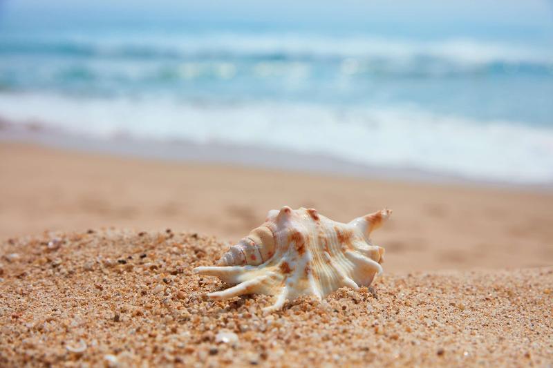 Fotos del hotel Grand Hyatt Sanya Haitang Bay Resort And Spa:  15