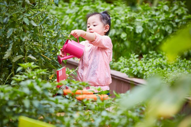 Fotos del hotel Grand Hyatt Sanya Haitang Bay Resort And Spa:  20