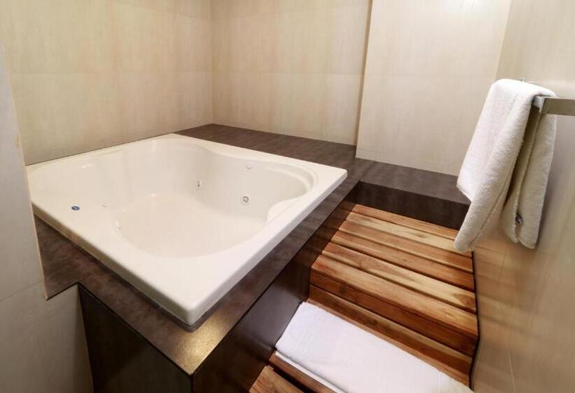 Fotos del hotel Holiday Inn Express Mexico Aeropuerto, An Ihg:  2