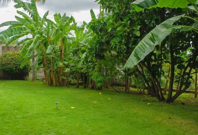 Fotos del hotel Altos De Fontana:  5