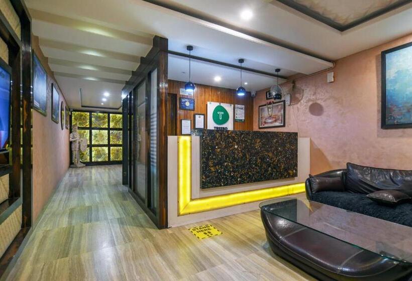 Fotos del hotel Treebo Trend Shivani:  3