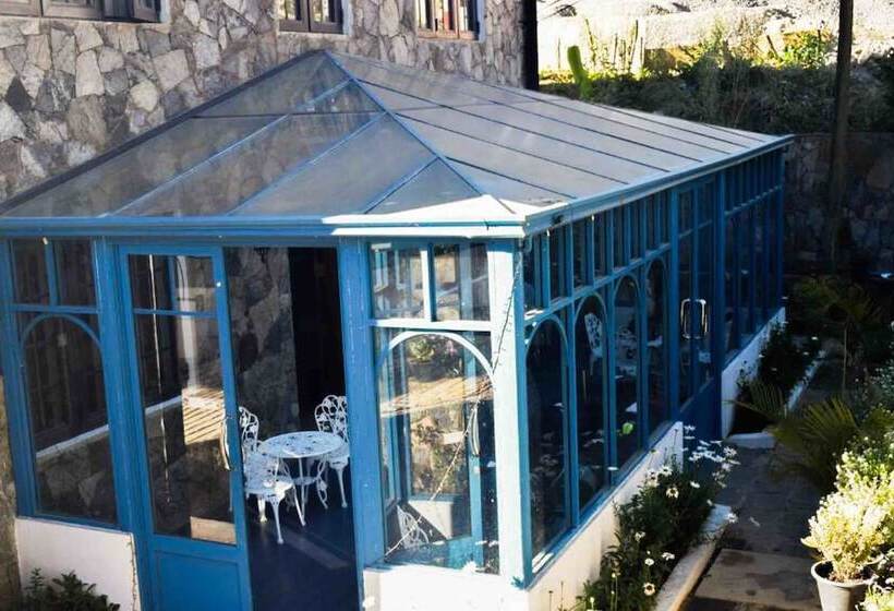 Fotos del hotel Daffodils:  5