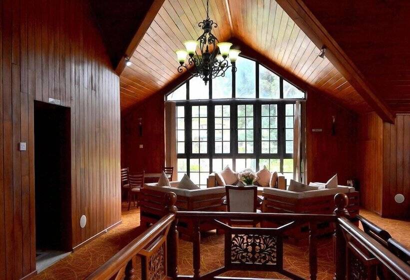 Fotos del hotel Daffodils:  25