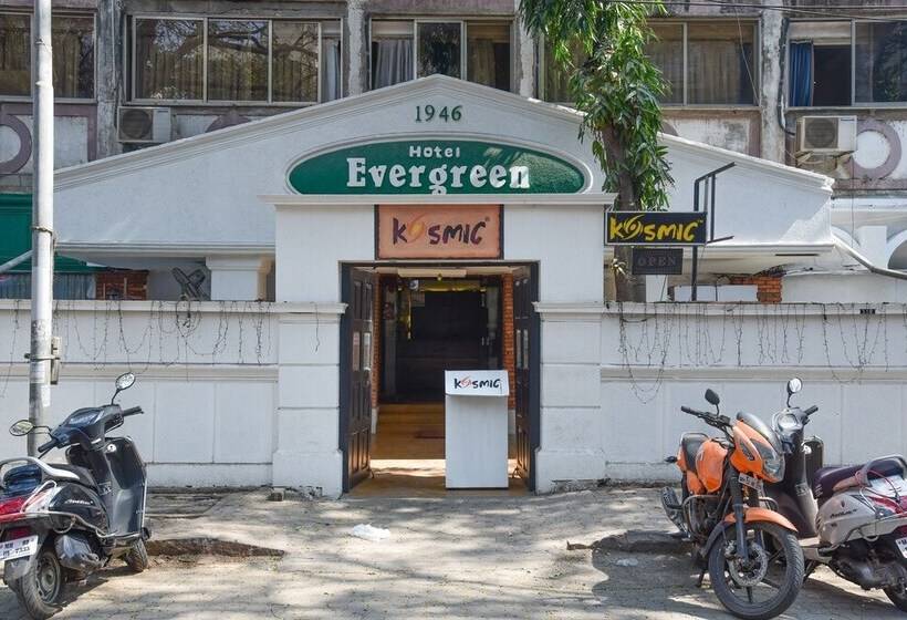 Fotos del hotel Evergreen:  20