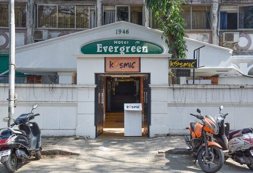 Fotos del hotel Evergreen:  18