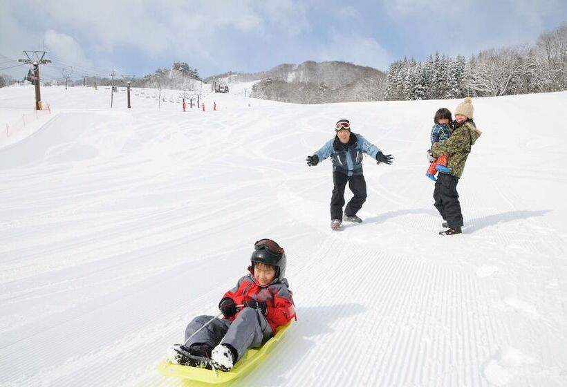 Fotos del hotel Hakuba Paipu No Kemuri:  23