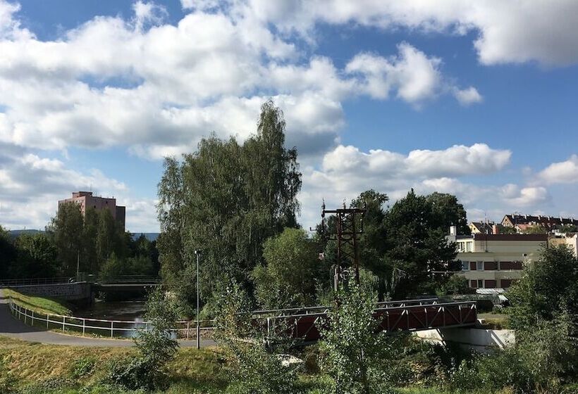 Fotos del hotel Pension Village:  5