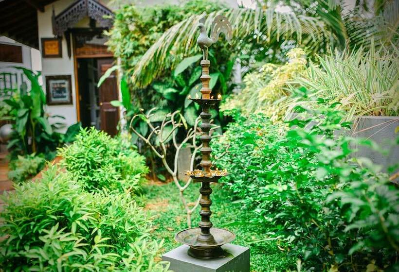 Fotos del hotel Waterland:  10