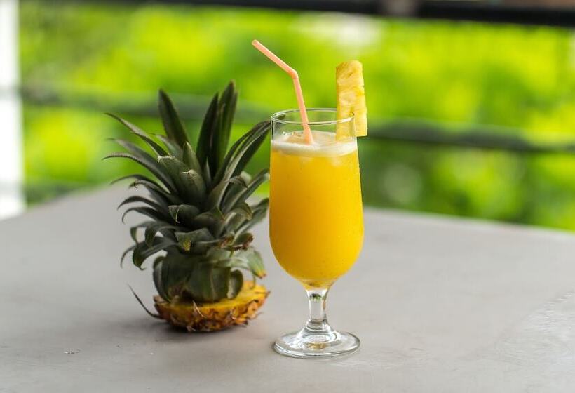 Fotos del hotel Waterland:  13