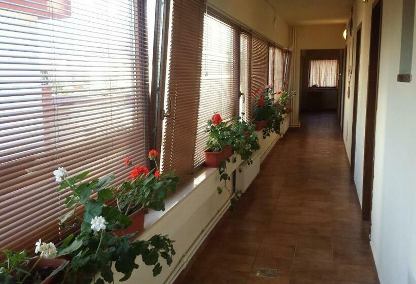 Fotos del hotel Hostel Nova Route:  13