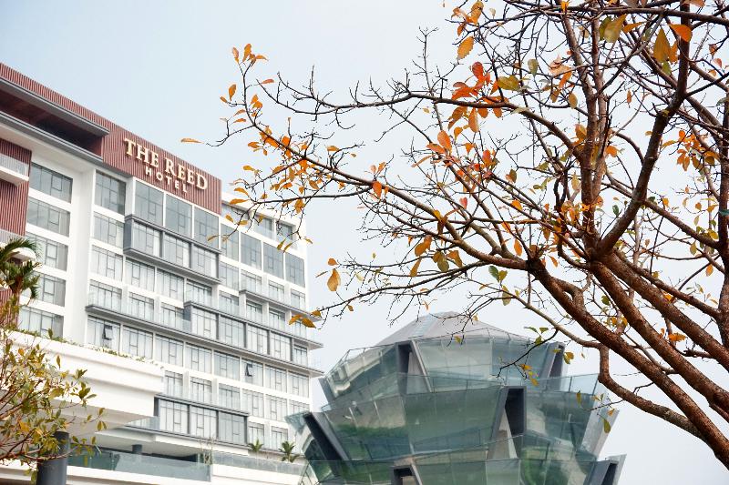 Fotos del hotel The Reed:  8