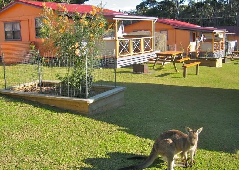 Fotos del hotel Durras Lake North Holiday Park:  6