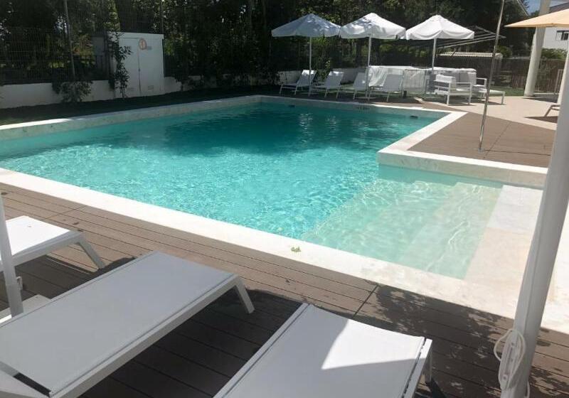 Fotos del hotel Evora Olive:  3