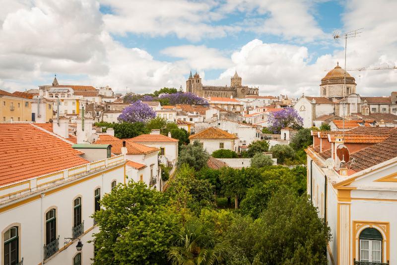 Fotos del hotel Evora Olive:  19