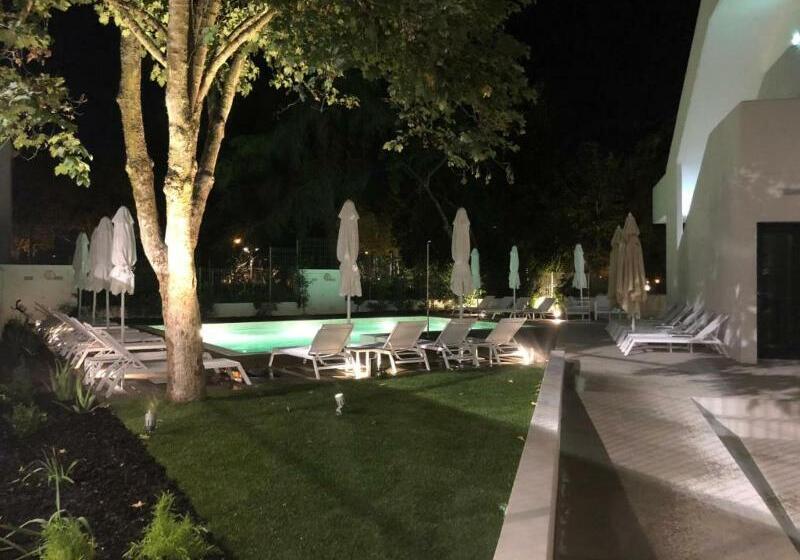 Fotos del hotel Evora Olive:  25