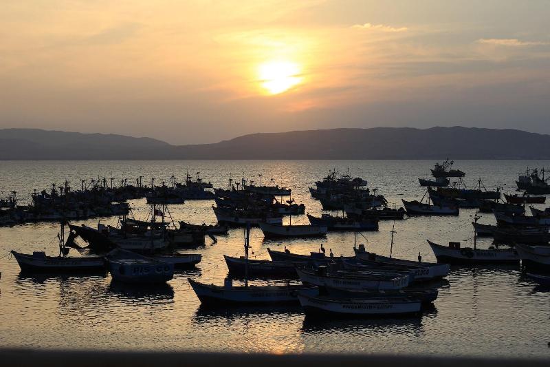 Fotos del hotel Bamboo Lodge Paracas:  5