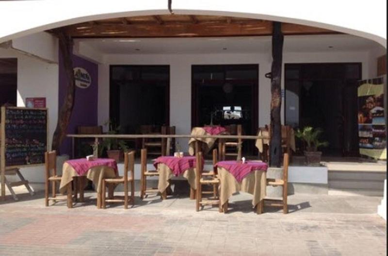 Fotos del hotel Bamboo Lodge Paracas:  9