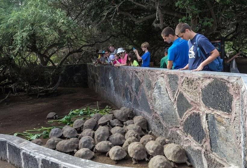 Fotos del hotel Iguana Crossing Boutique:  8