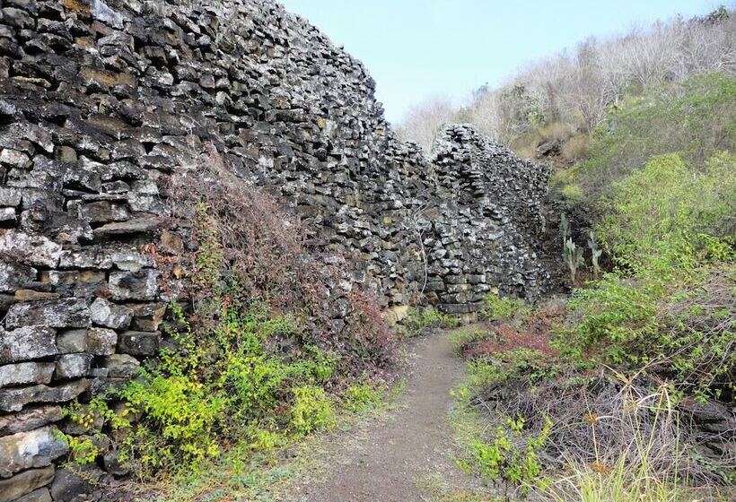 Fotos del hotel Iguana Crossing Boutique:  4