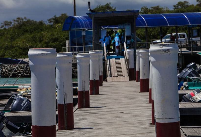 Iguana Crossing Boutique