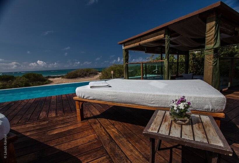 Fotos del hotel Iguana Crossing Boutique:  7