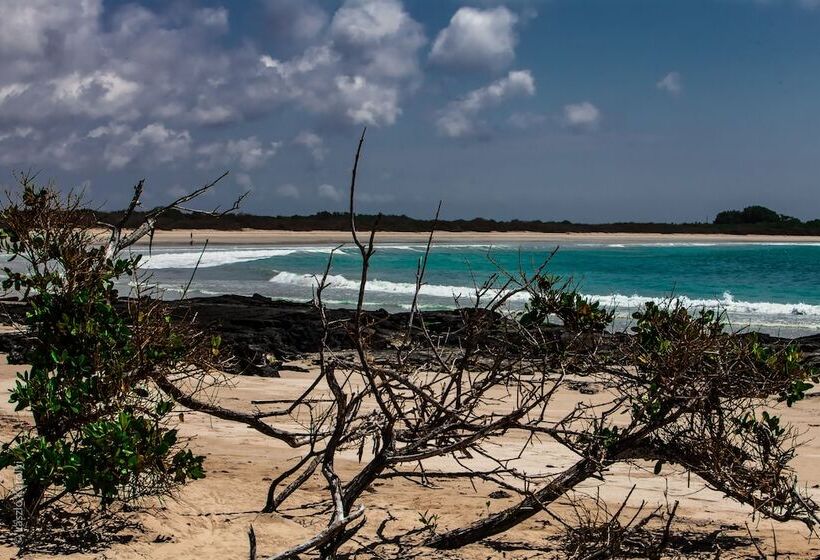 Fotos del hotel Iguana Crossing Boutique:  23