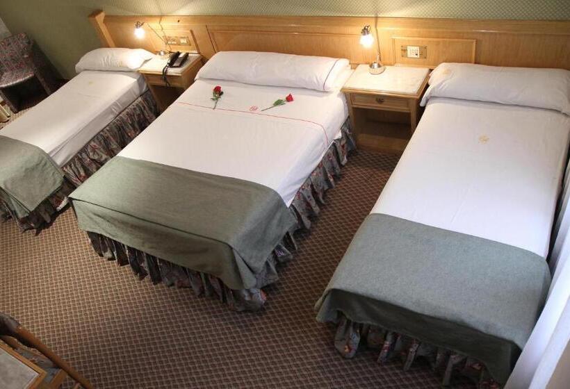 Fotos del hotel Gran Hotel Ailen:  15