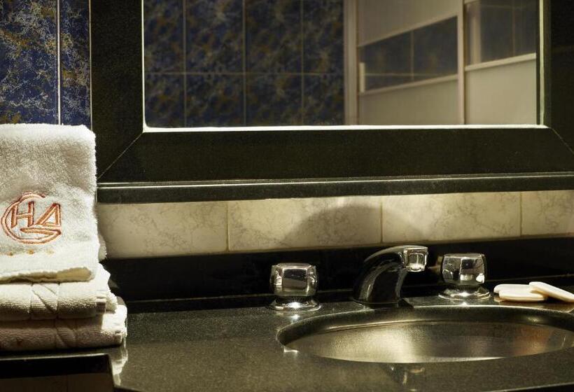 Fotos del hotel Gran Hotel Ailen:  7