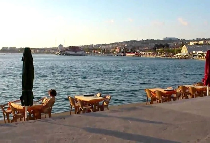 Fotos del hotel Aladeniz:  8