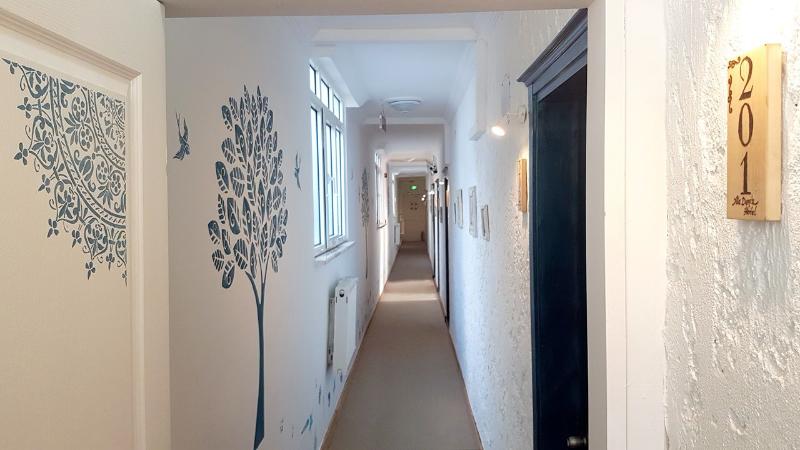 Fotos del hotel Aladeniz:  11