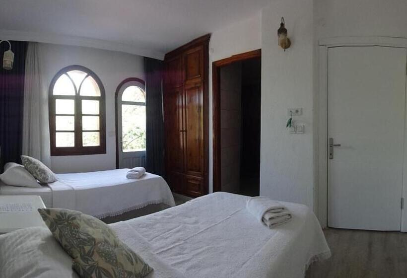 Fotos del hotel Villa Panorama:  17