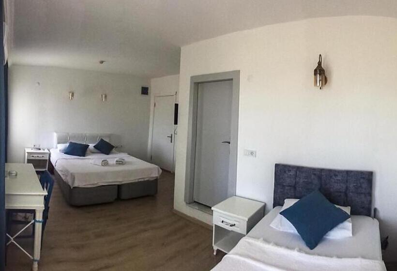 Fotos del hotel Villa Panorama:  2