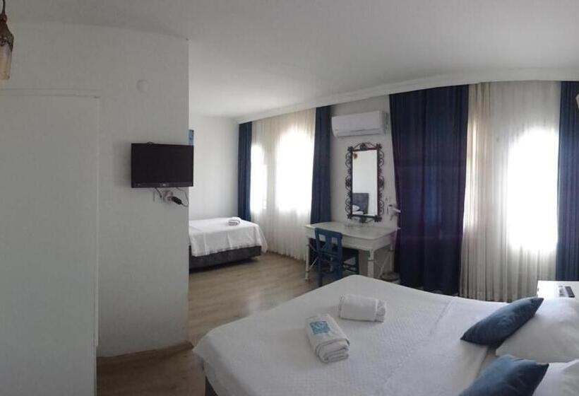 Fotos del hotel Villa Panorama:  23