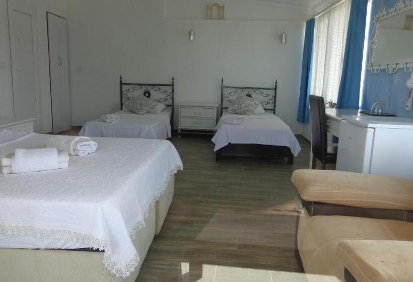 Fotos del hotel Villa Panorama:  12